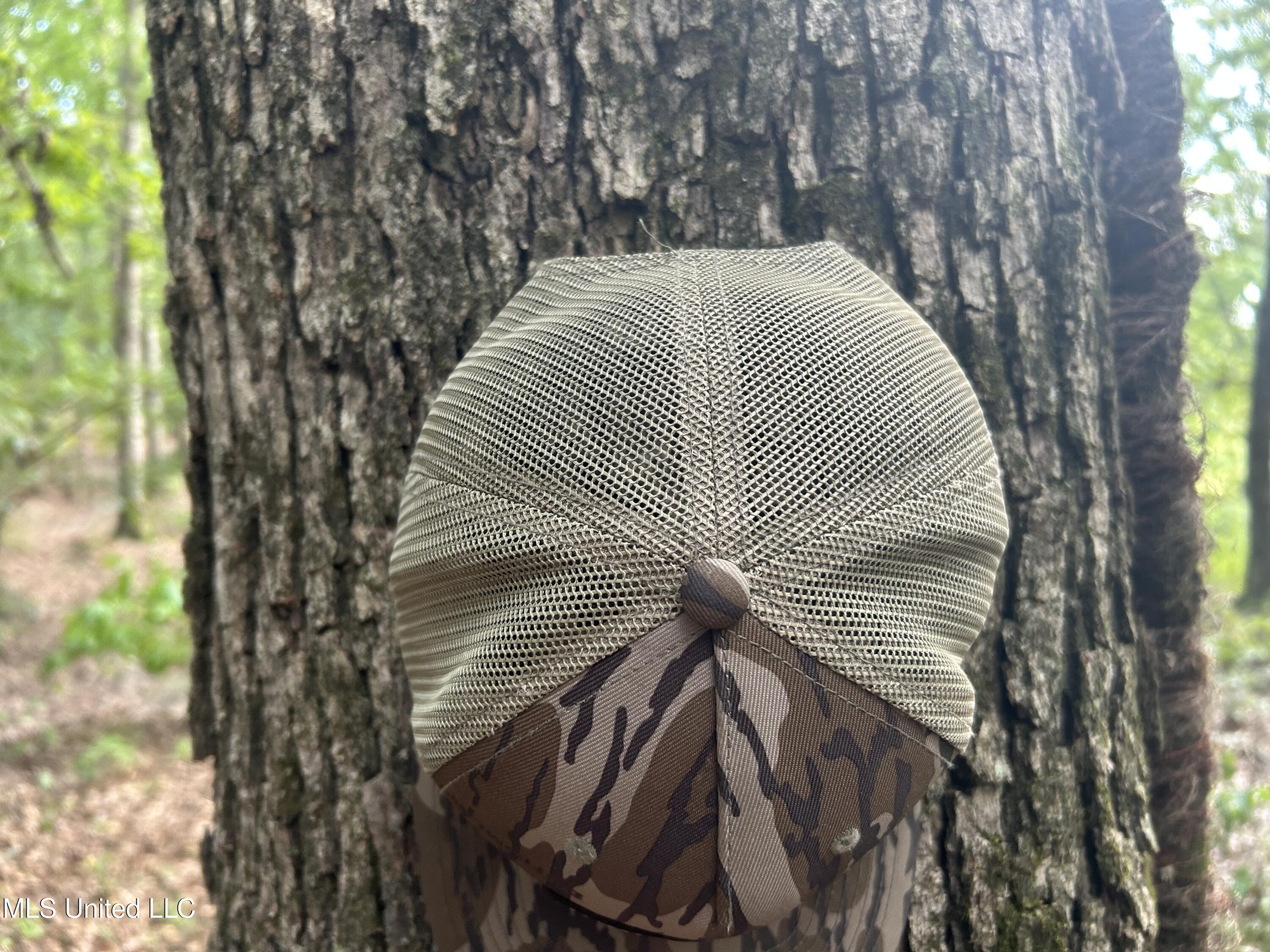 233 County Road Water Valley, MS 38965 - Photo 24 of 77 Photo Jul 28 2025, 4 22 12 PM