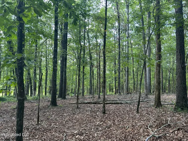 $552,500 | 233 County Road, Water Valley, MS 38965