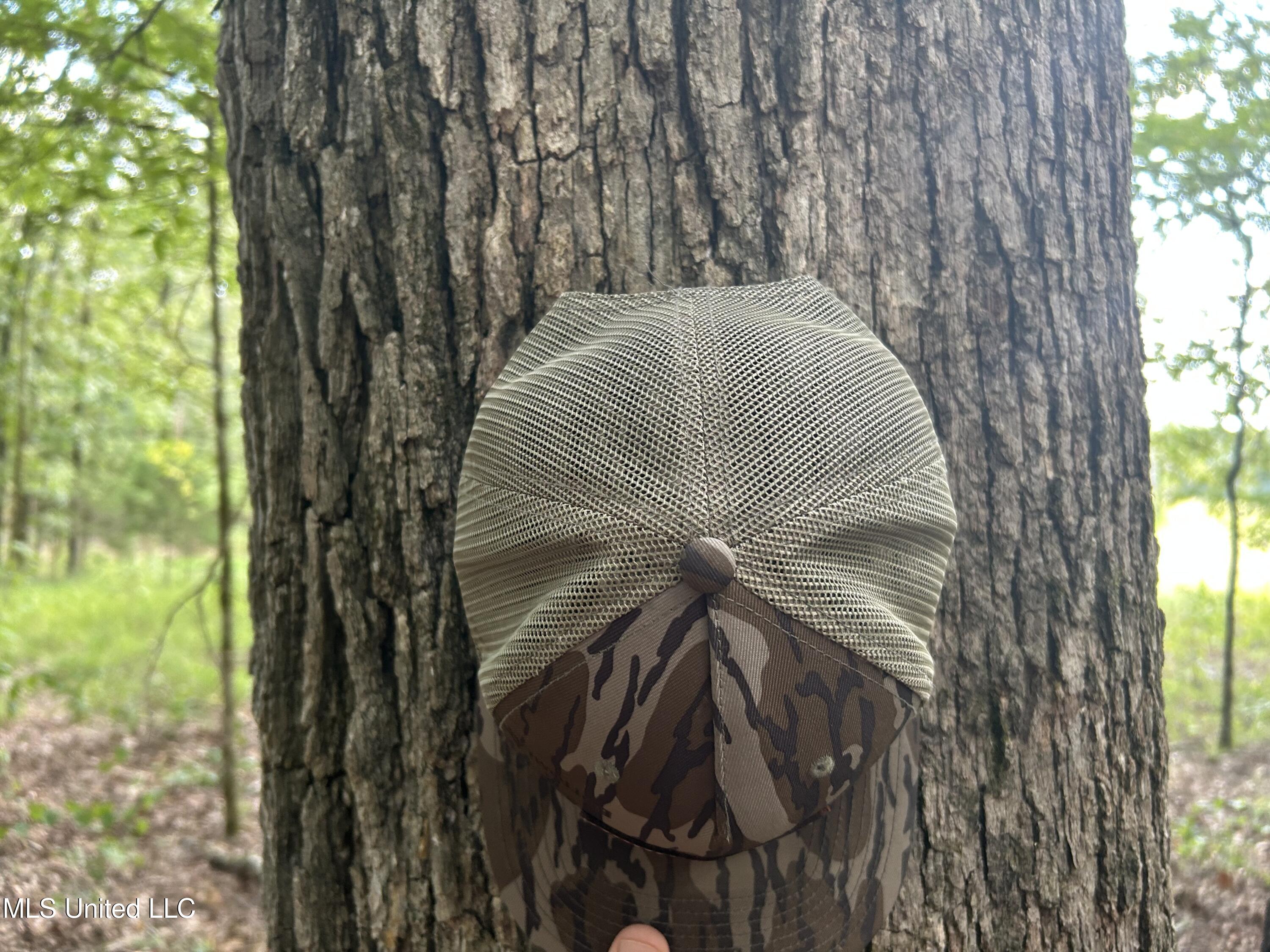 233 County Road Water Valley, MS 38965 - Photo 26 of 77 Photo Jul 28 2025, 4 22 31 PM