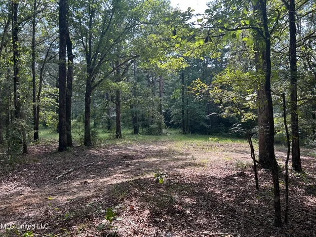 $552,500 | 233 County Road, Water Valley, MS 38965