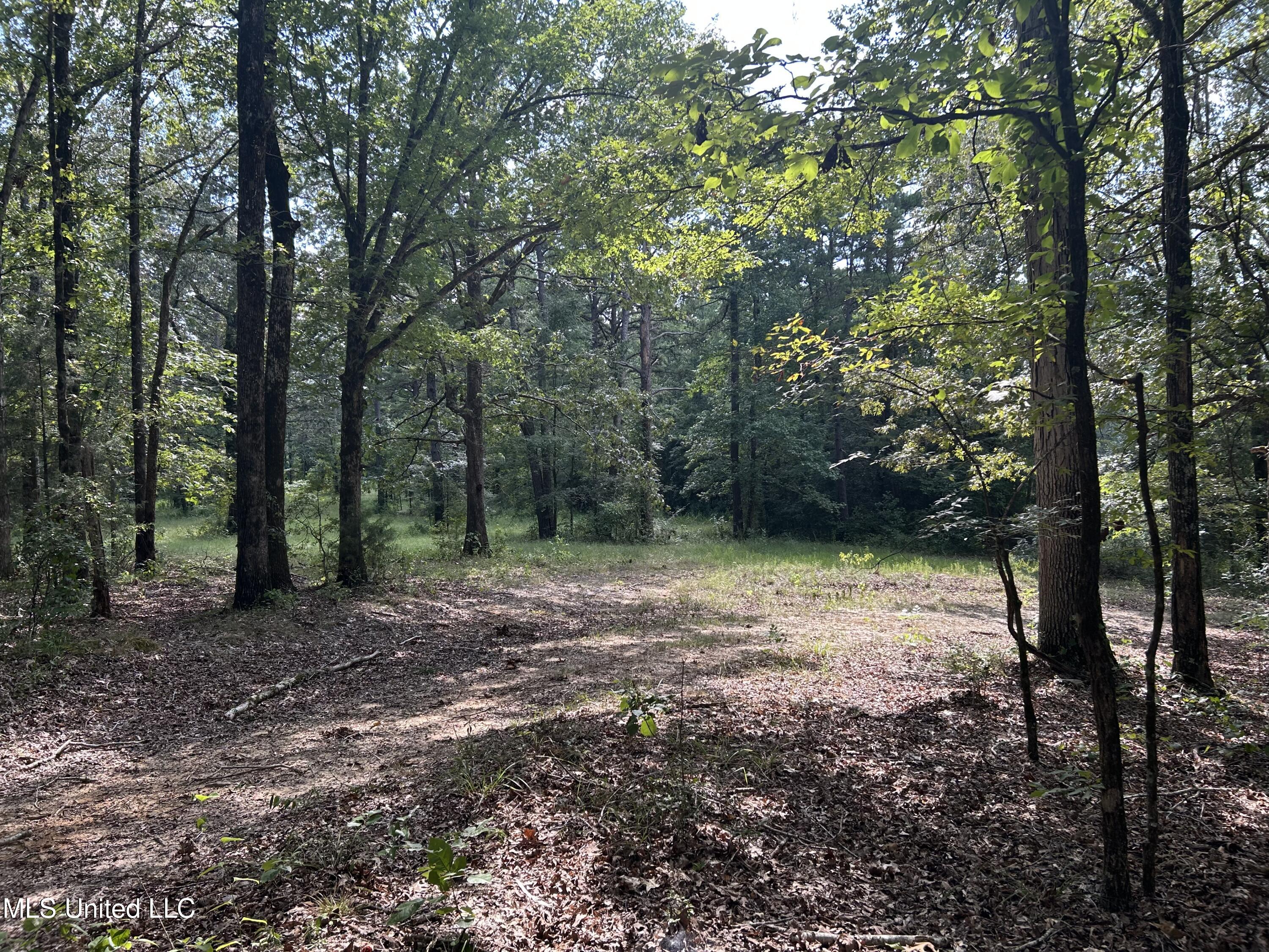 233 County Road Water Valley, MS 38965 - Photo 27 of 77 Photo Jul 28 2025, 4 23 40 PM