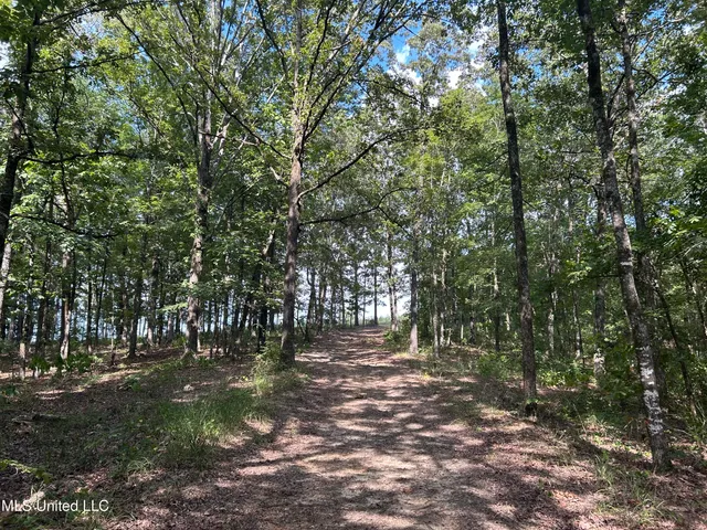 $552,500 | 233 County Road, Water Valley, MS 38965