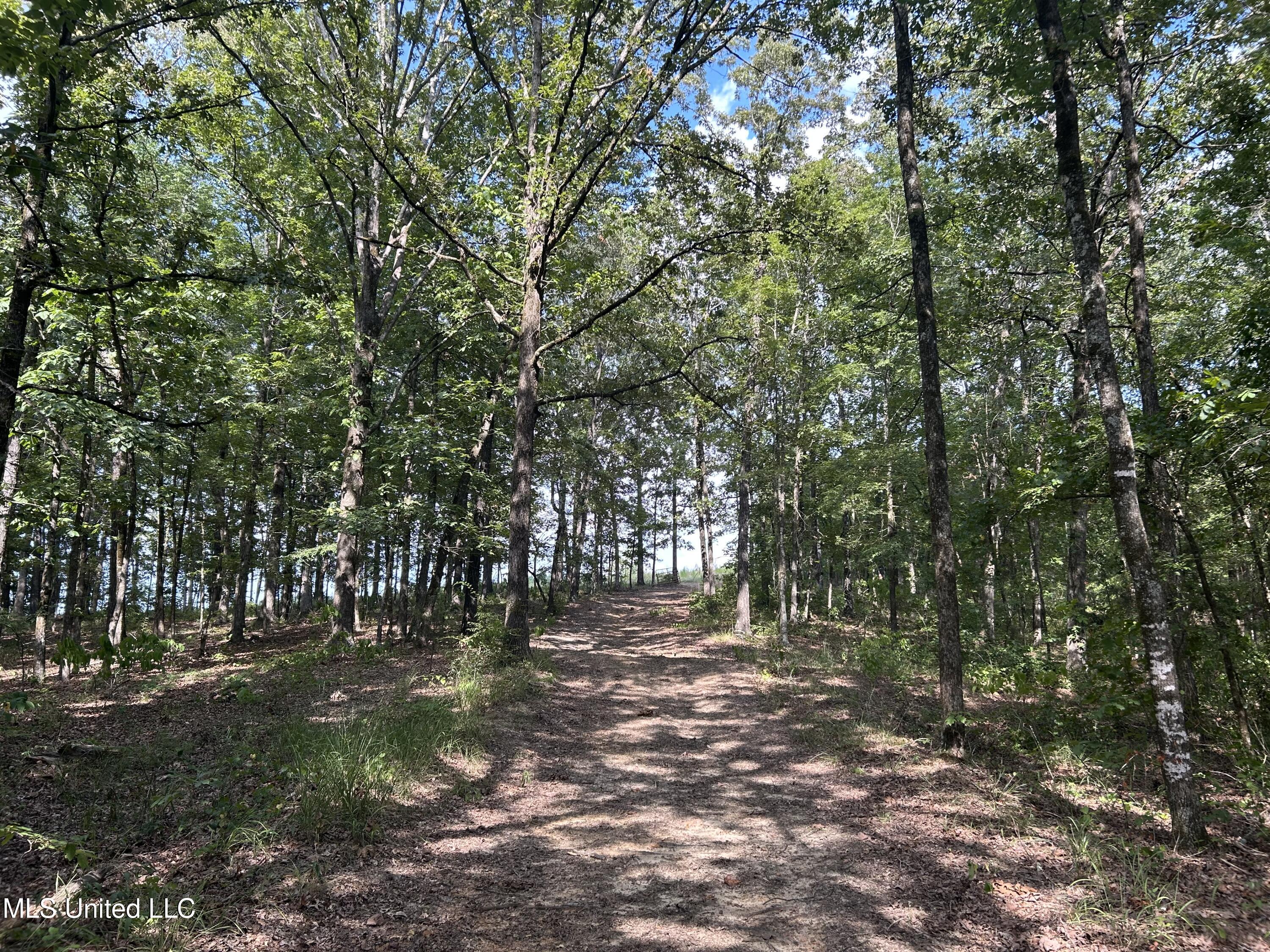 233 County Road Water Valley, MS 38965 - Photo 28 of 77 Photo Jul 28 2025, 4 23 49 PM
