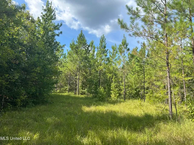 $552,500 | 233 County Road, Water Valley, MS 38965