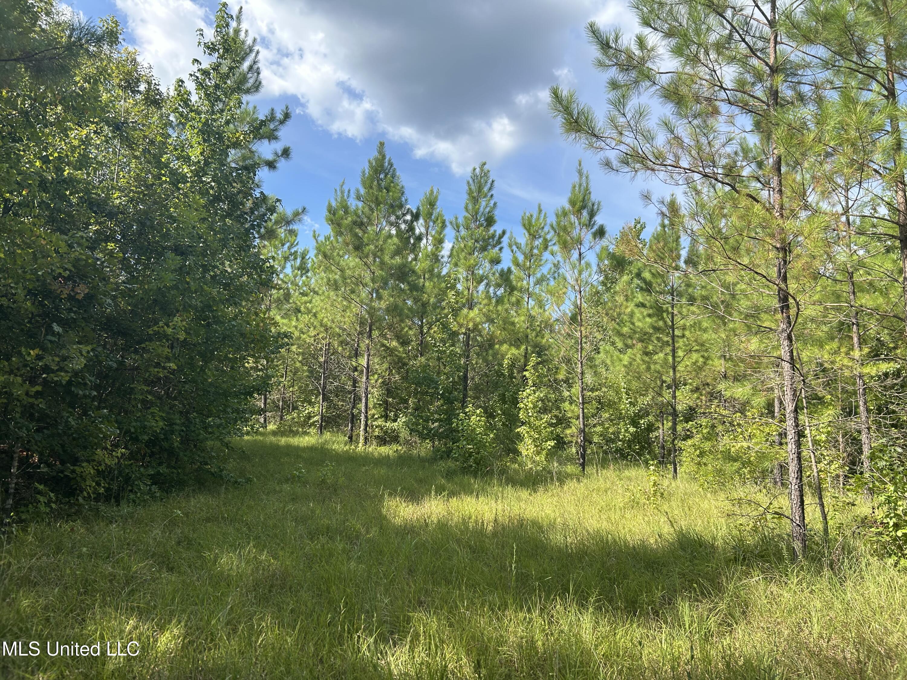 233 County Road Water Valley, MS 38965 - Photo 29 of 77 Photo Jul 28 2025, 4 29 43 PM