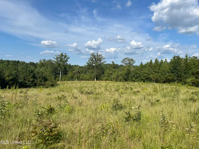 $552,500 | 233 County Road, Water Valley, MS 38965