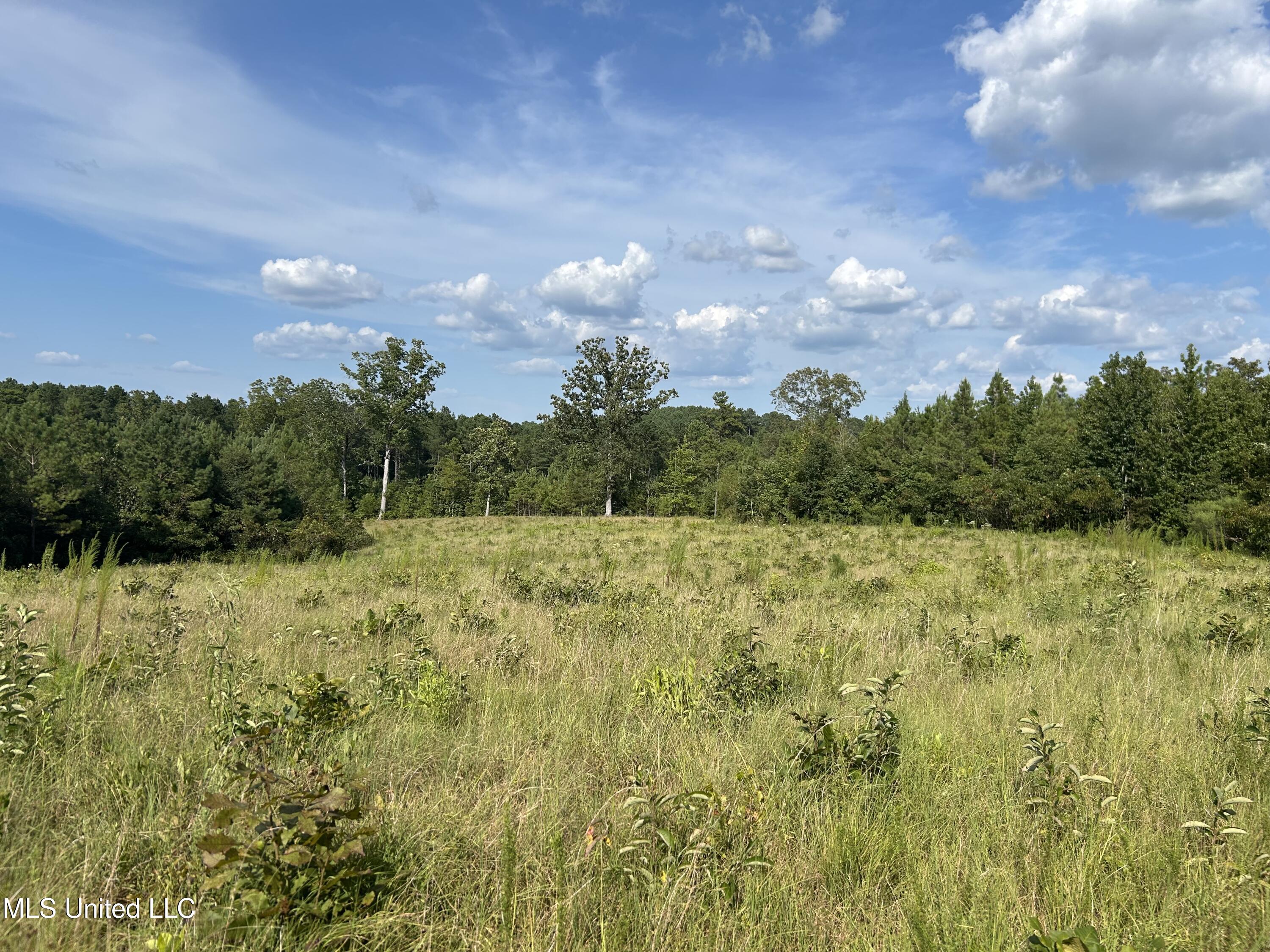233 County Road Water Valley, MS 38965 - Photo 30 of 77 Photo Jul 28 2025, 4 32 55 PM