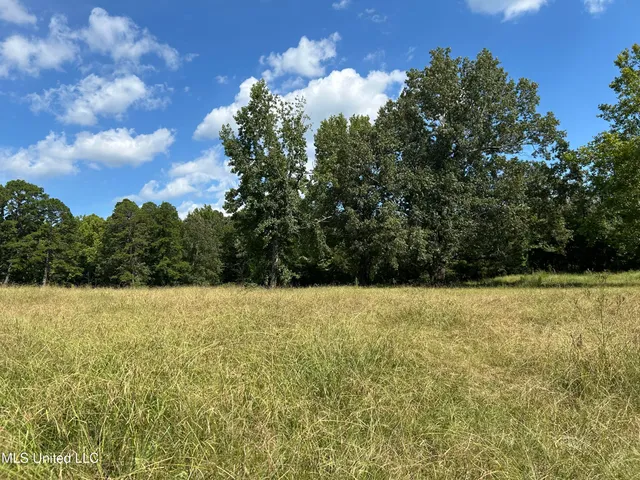 $552,500 | 233 County Road, Water Valley, MS 38965