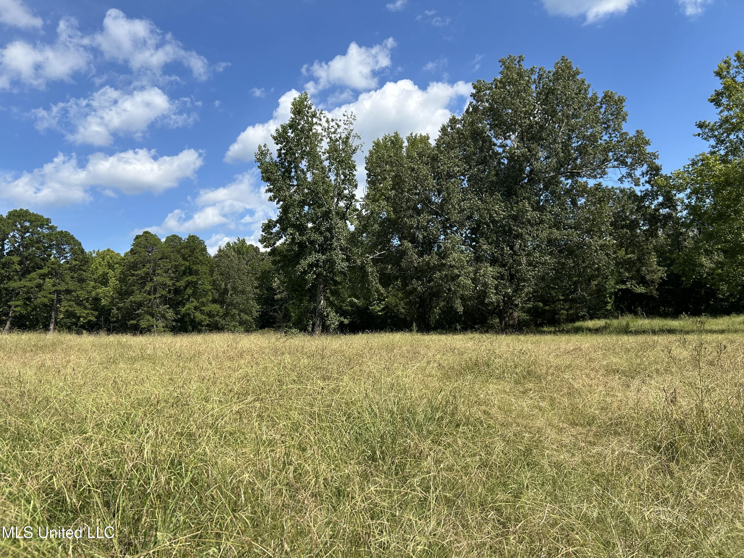 233 County Road Water Valley, MS 38965 - Photo 3 of 77 Photo Jul 28 2025, 3 56 29 PM
