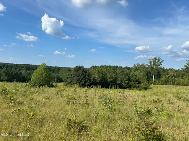 $552,500 | 233 County Road, Water Valley, MS 38965