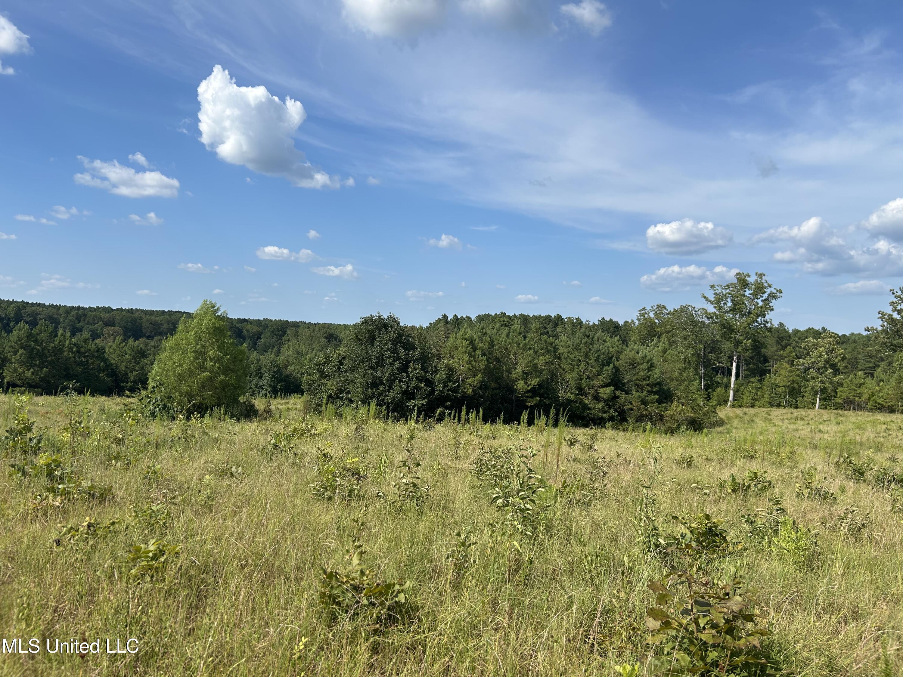 233 County Road Water Valley, MS 38965 - Photo 31 of 77 Photo Jul 28 2025, 4 32 57 PM