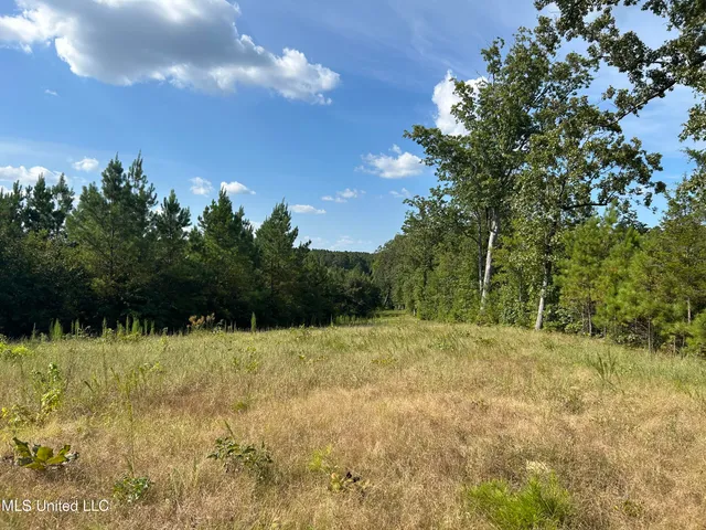 $552,500 | 233 County Road, Water Valley, MS 38965