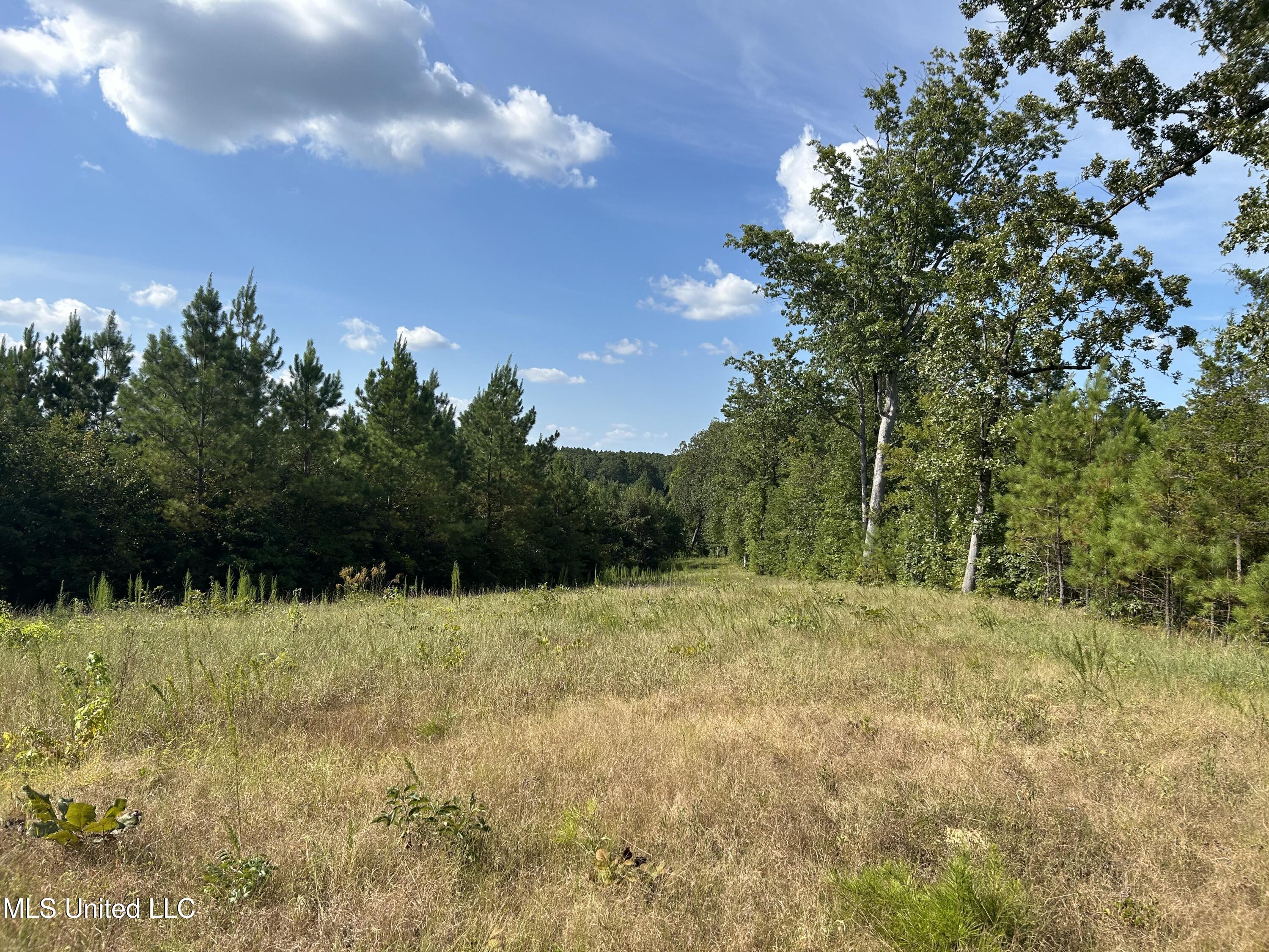 233 County Road Water Valley, MS 38965 - Photo 32 of 77 Photo Jul 28 2025, 4 33 36 PM