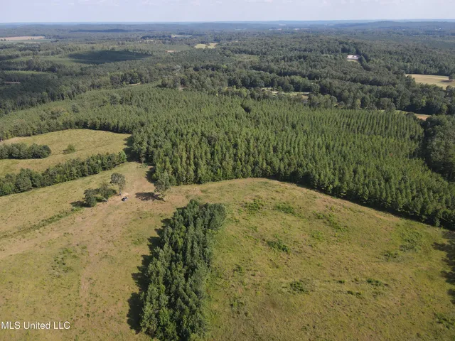 $552,500 | 233 County Road, Water Valley, MS 38965