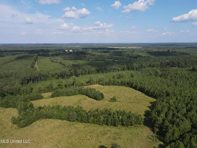 $552,500 | 233 County Road, Water Valley, MS 38965