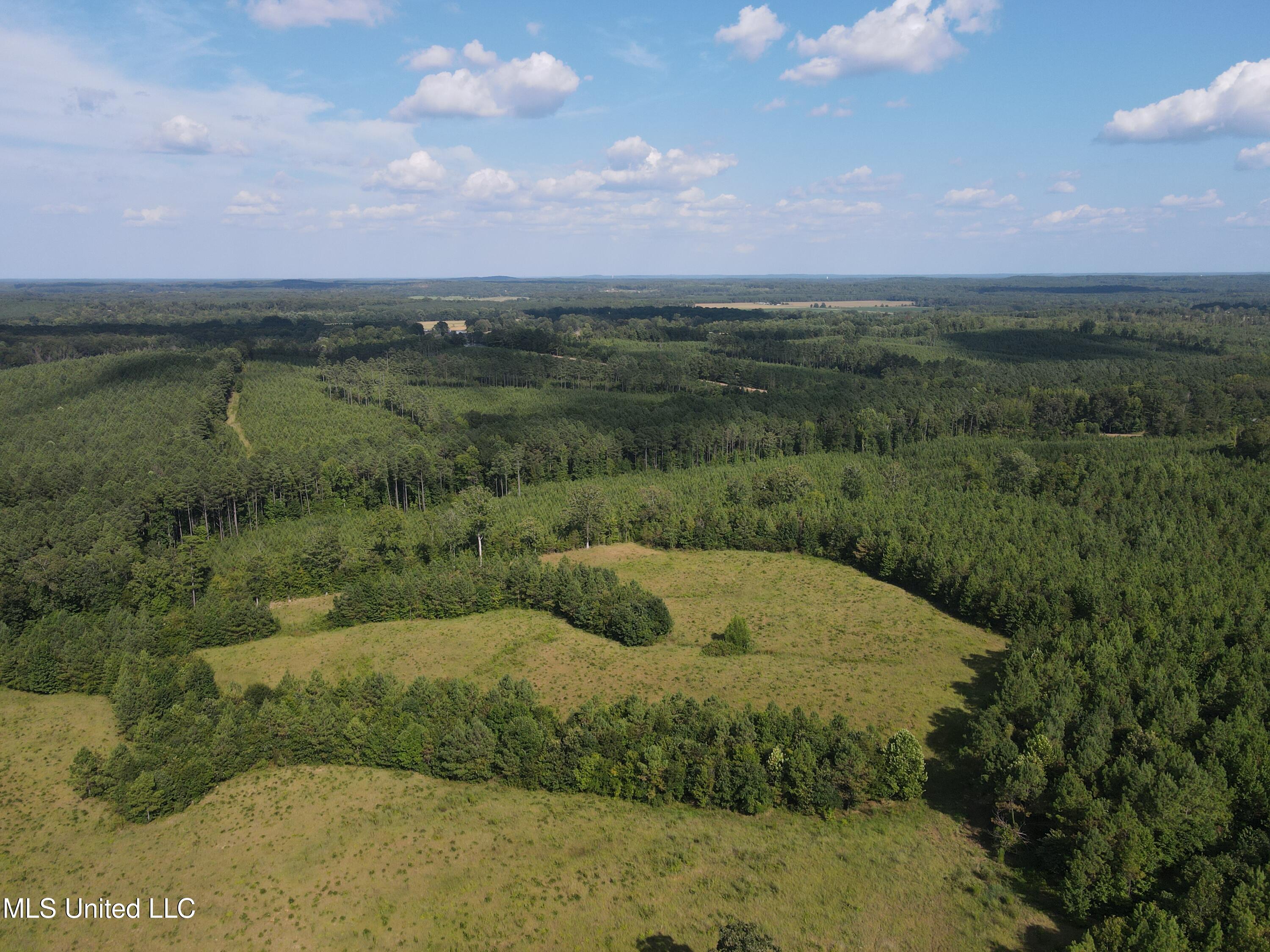 233 County Road Water Valley, MS 38965 - Photo 36 of 77 Photo Jul 28 2025, 4 44 30 PM