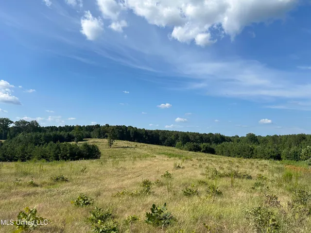 $552,500 | 233 County Road, Water Valley, MS 38965