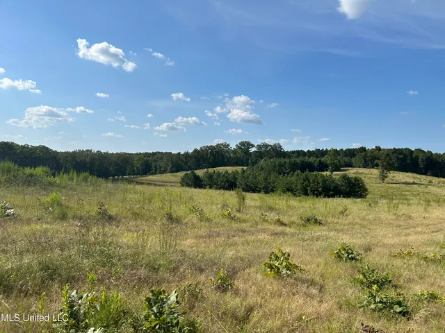 $552,500 | 233 County Road, Water Valley, MS 38965