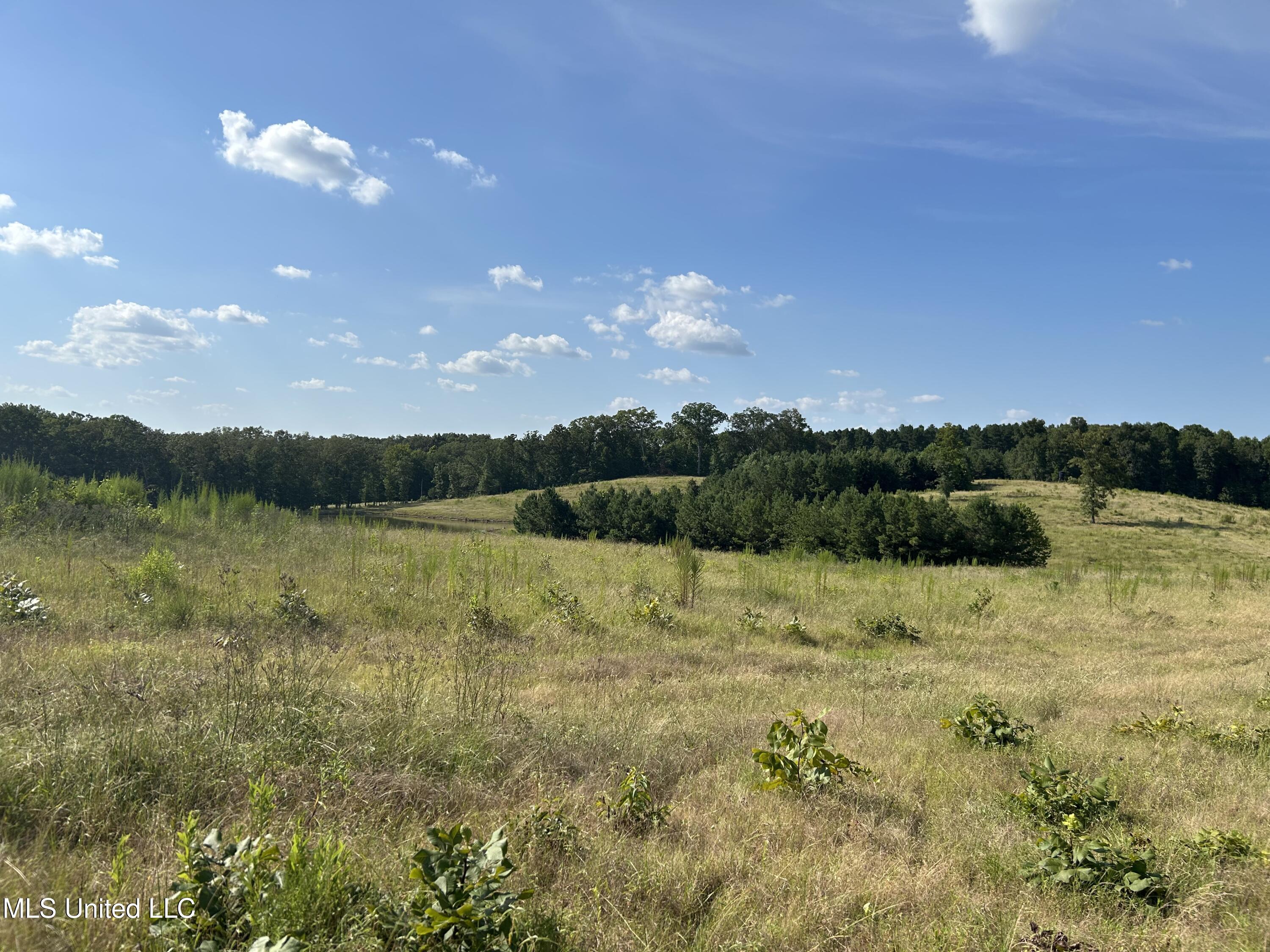 233 County Road Water Valley, MS 38965 - Photo 38 of 77 Photo Jul 28 2025, 4 46 30 PM