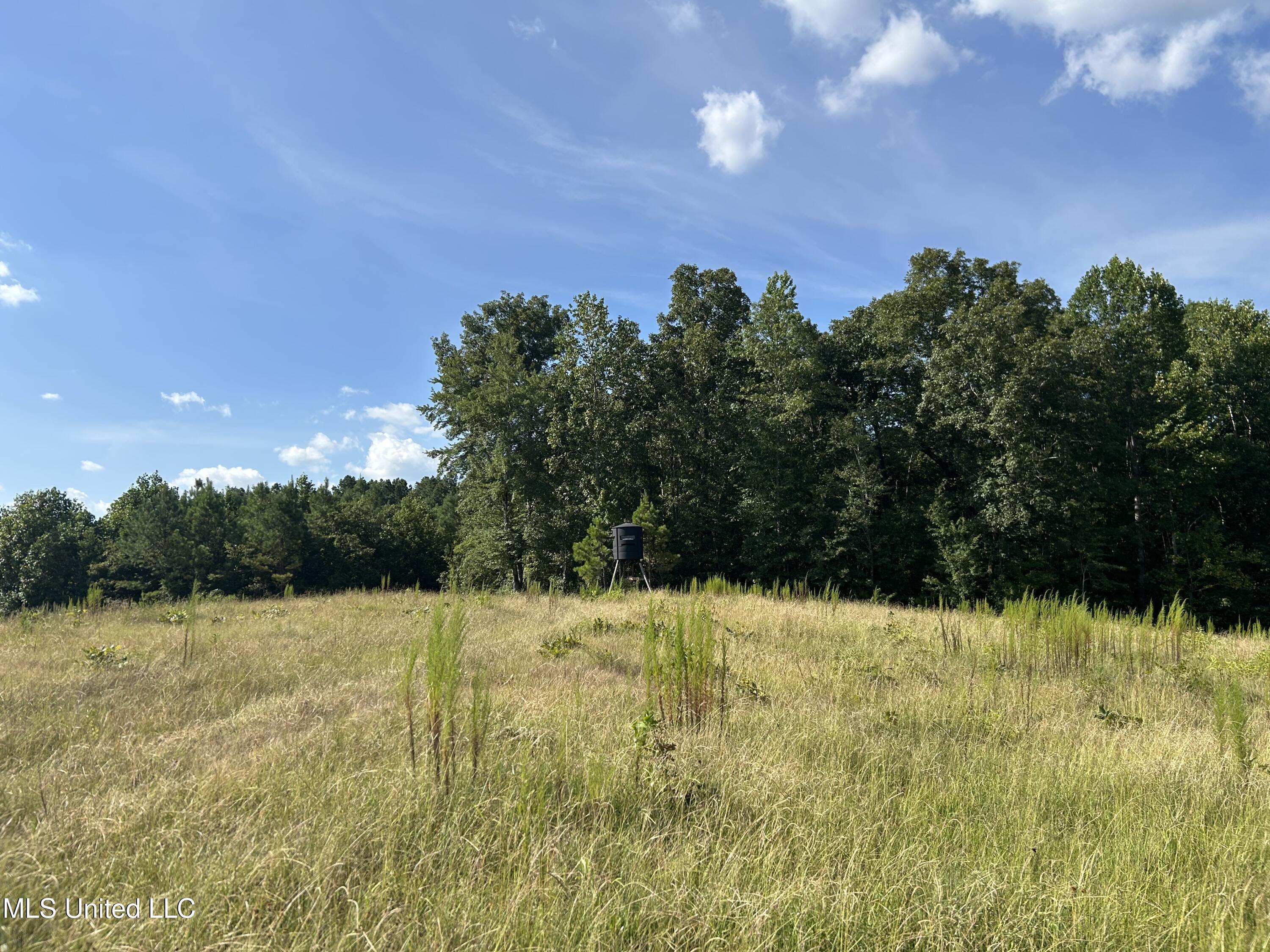 233 County Road Water Valley, MS 38965 - Photo 39 of 77 Photo Jul 28 2025, 4 47 45 PM