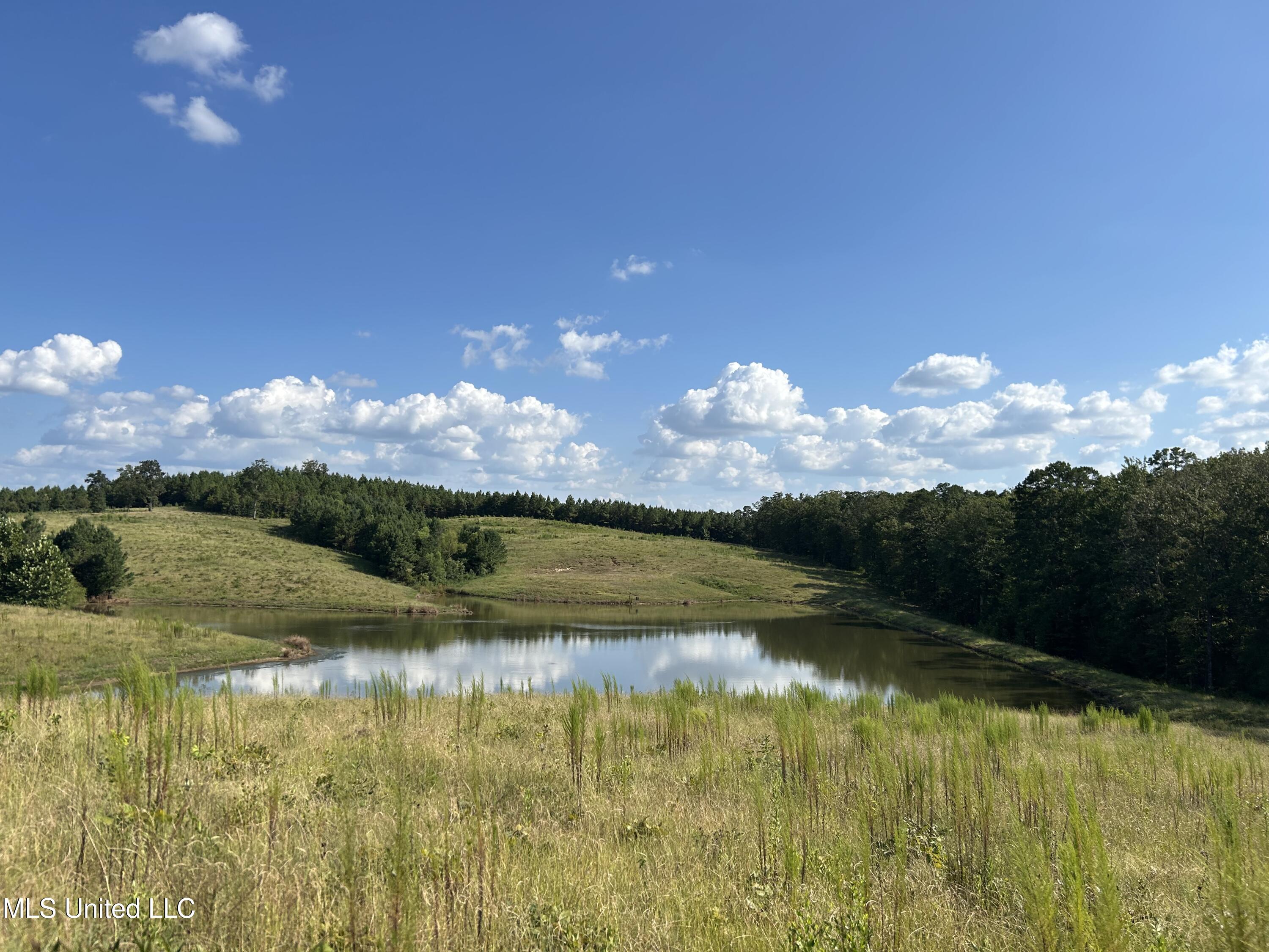233 County Road Water Valley, MS 38965 - Photo 40 of 77 Photo Jul 28 2025, 4 49 46 PM