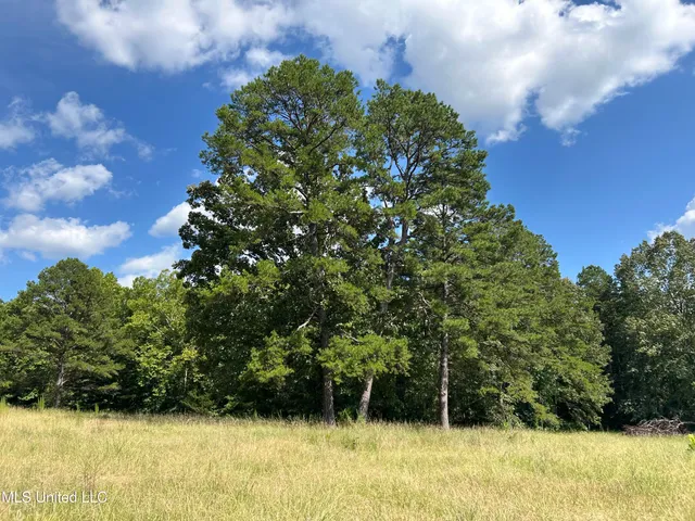 $552,500 | 233 County Road, Water Valley, MS 38965