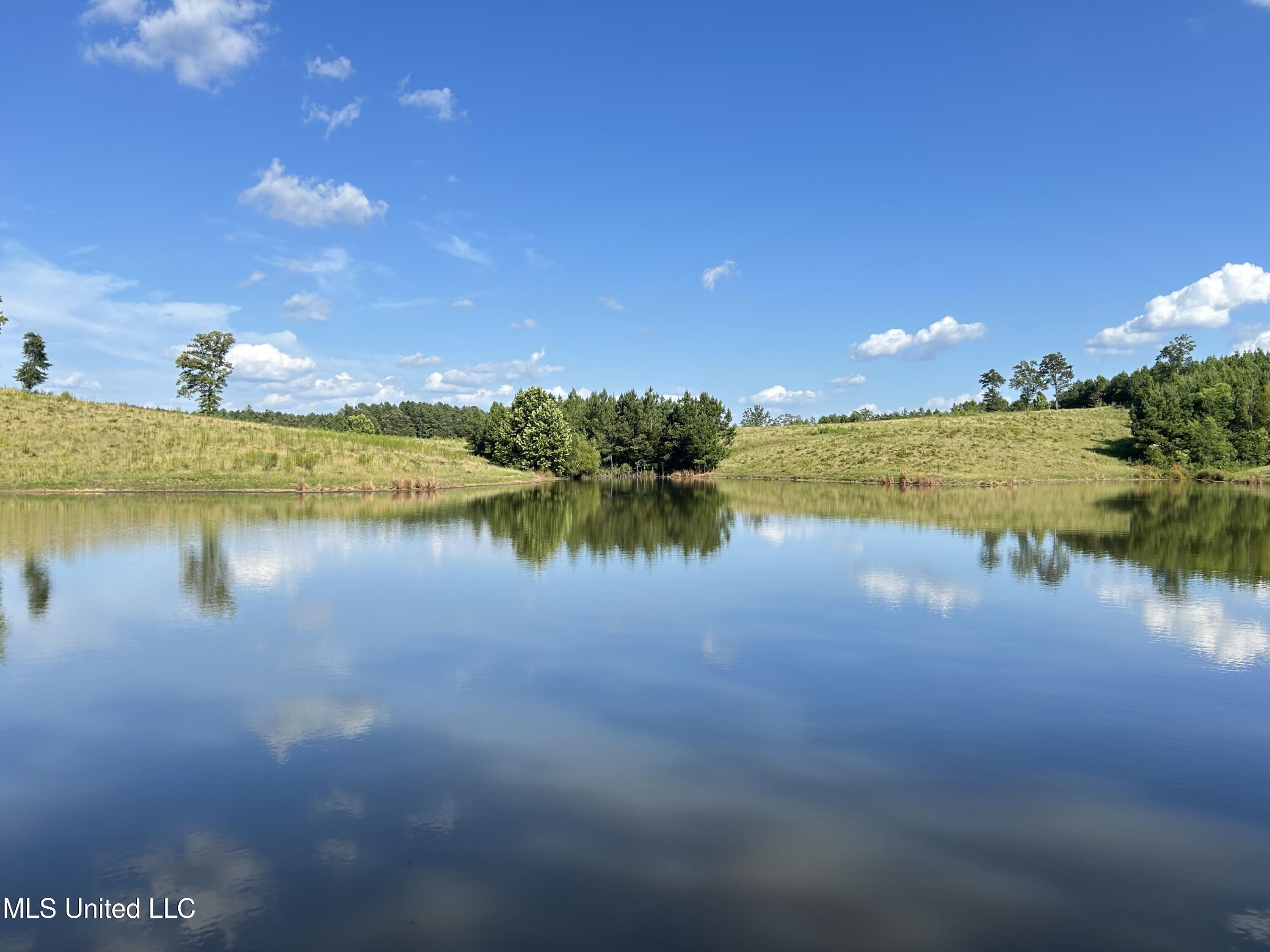 233 County Road Water Valley, MS 38965 - Photo 41 of 77 Photo Jul 28 2025, 4 50 26 PM