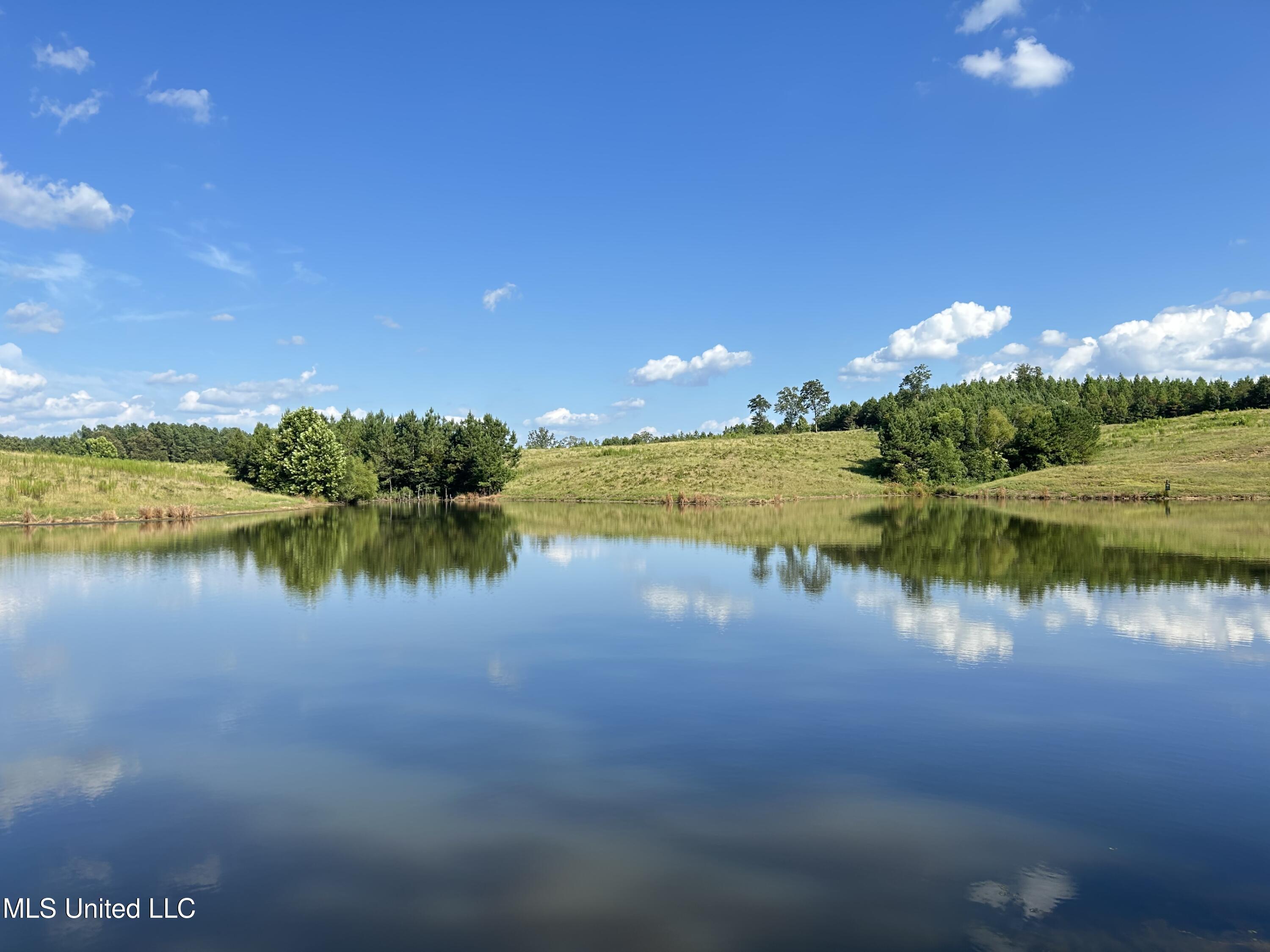 233 County Road Water Valley, MS 38965 - Photo 42 of 77 Photo Jul 28 2025, 4 50 31 PM
