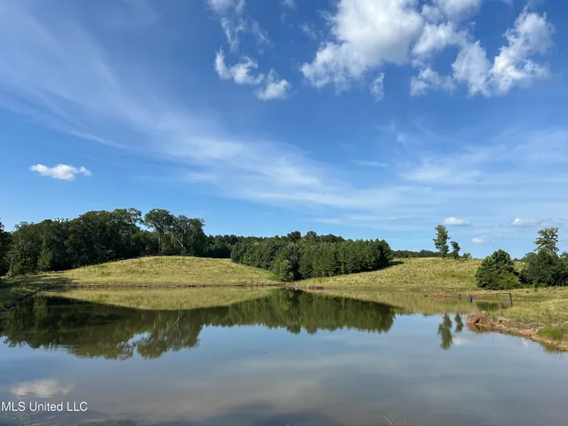 $552,500 | 233 County Road, Water Valley, MS 38965