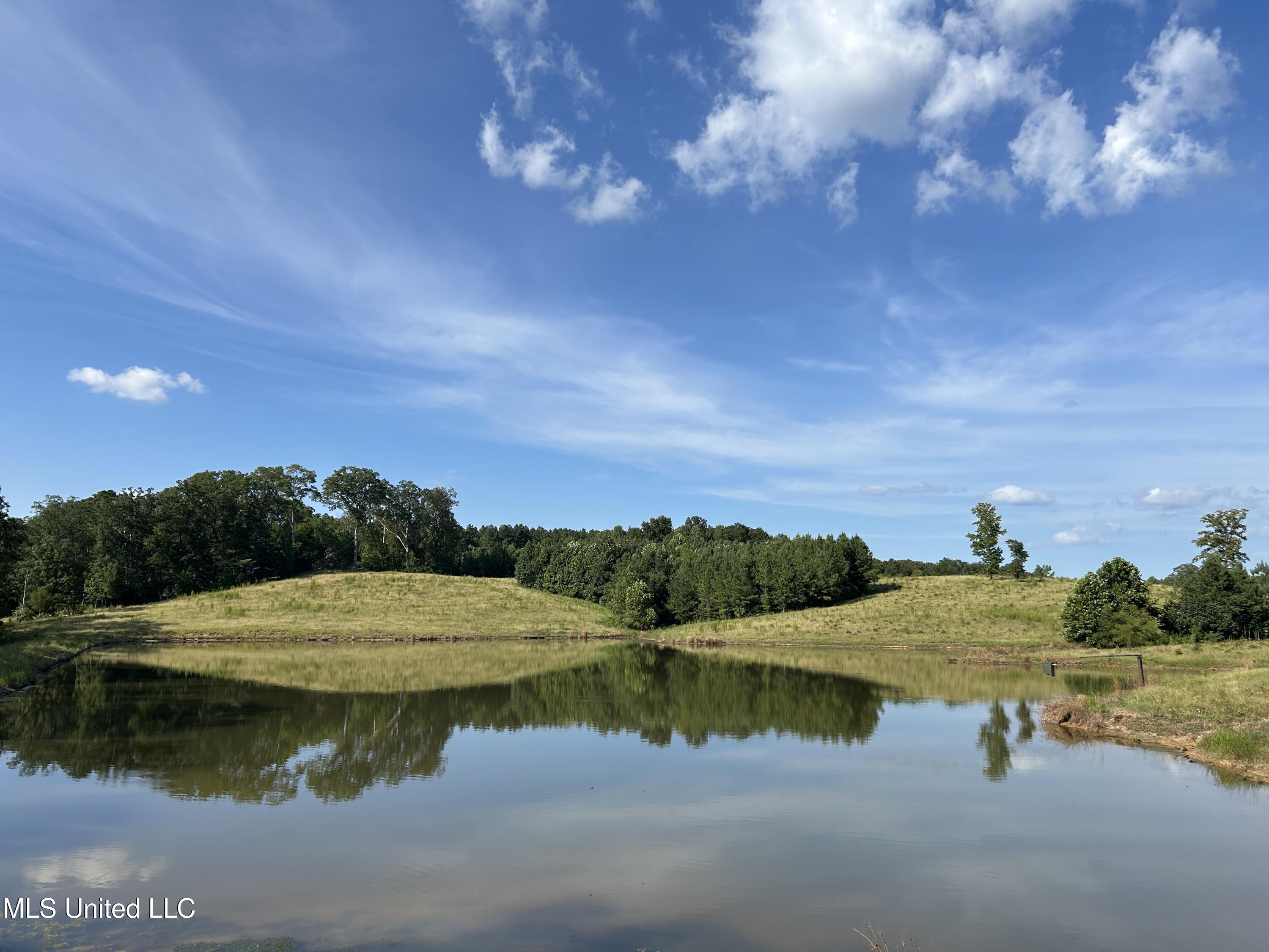 233 County Road Water Valley, MS 38965 - Photo 43 of 77 Photo Jul 28 2025, 4 51 26 PM