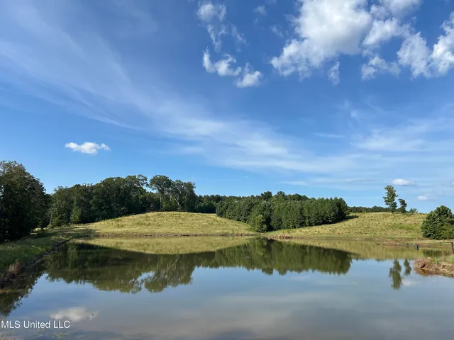 $552,500 | 233 County Road, Water Valley, MS 38965