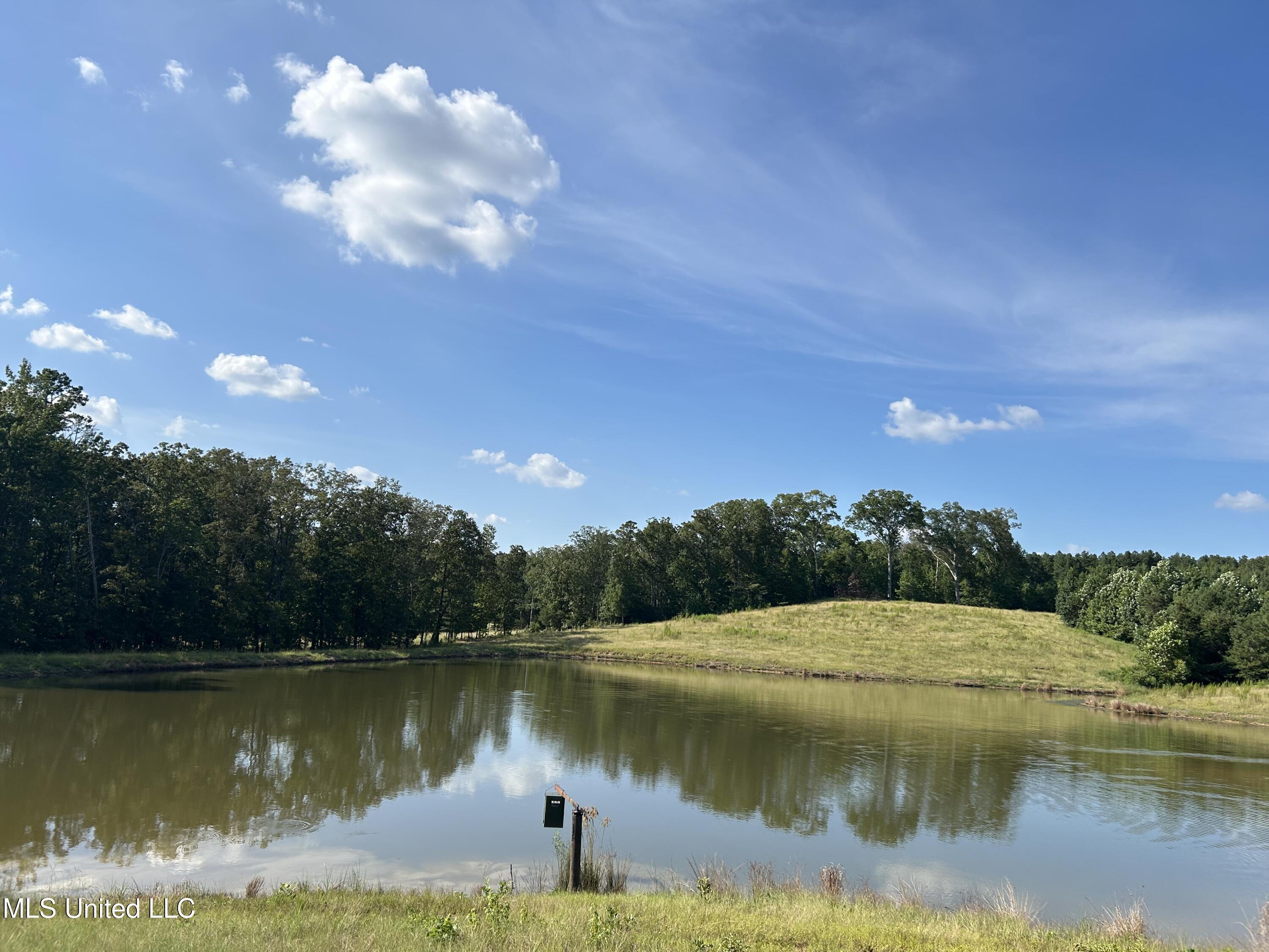 233 County Road Water Valley, MS 38965 - Photo 46 of 77 Photo Jul 28 2025, 4 54 48 PM