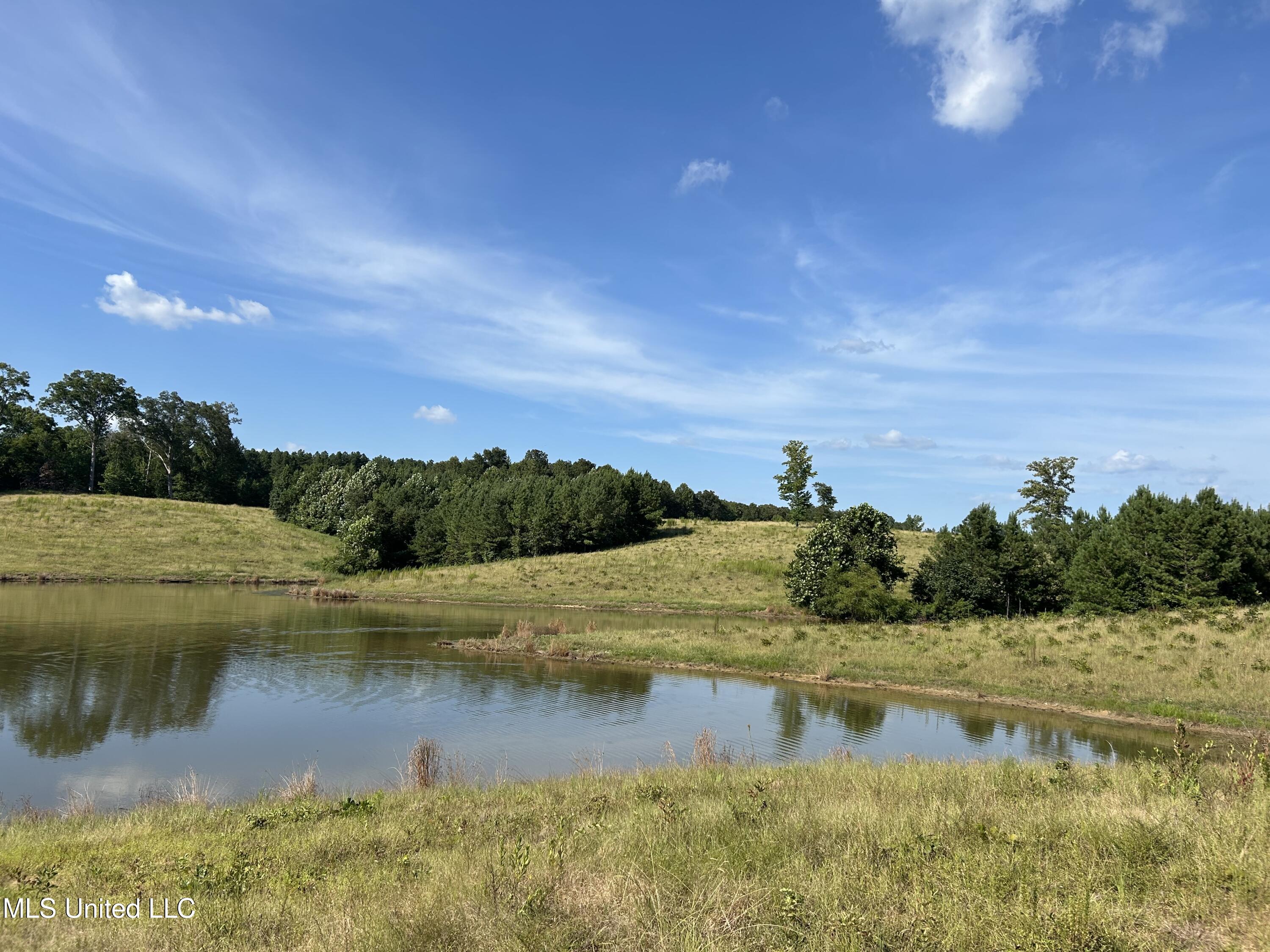 233 County Road Water Valley, MS 38965 - Photo 47 of 77 Photo Jul 28 2025, 4 54 51 PM