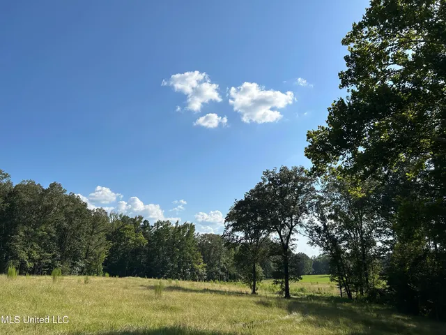 $552,500 | 233 County Road, Water Valley, MS 38965