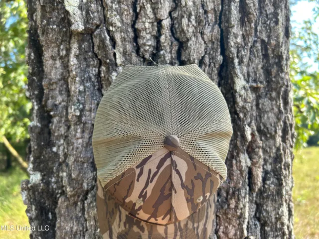 $552,500 | 233 County Road, Water Valley, MS 38965