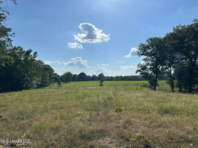 $552,500 | 233 County Road, Water Valley, MS 38965