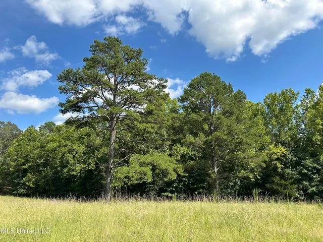 $552,500 | 233 County Road, Water Valley, MS 38965