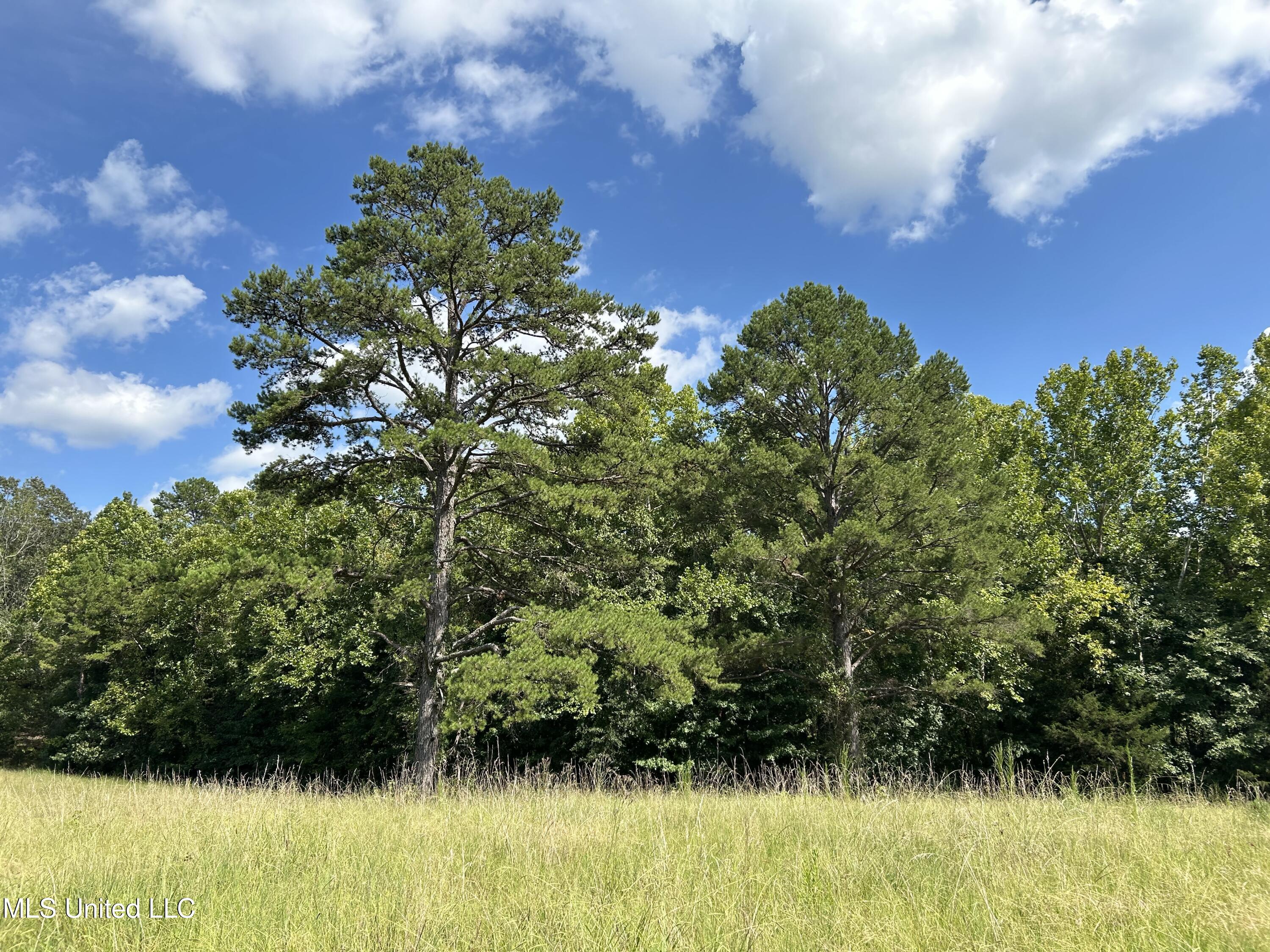233 County Road Water Valley, MS 38965 - Photo 5 of 77 Photo Jul 28 2025, 3 57 02 PM