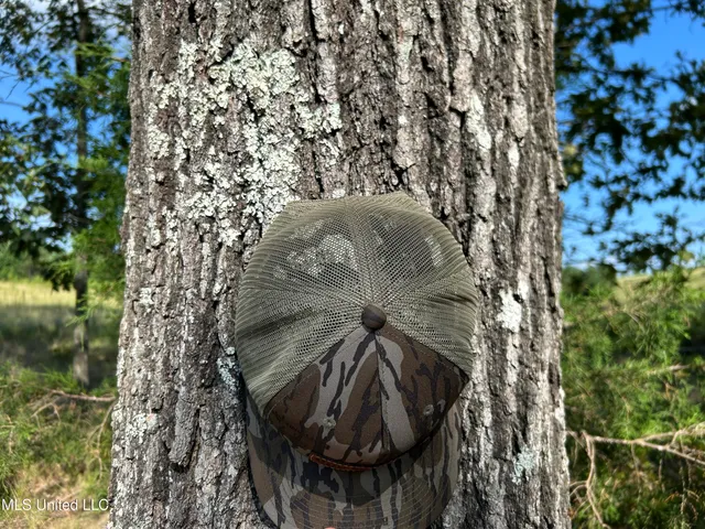 $552,500 | 233 County Road, Water Valley, MS 38965