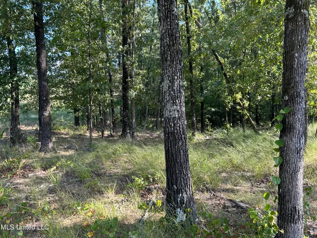 $552,500 | 233 County Road, Water Valley, MS 38965