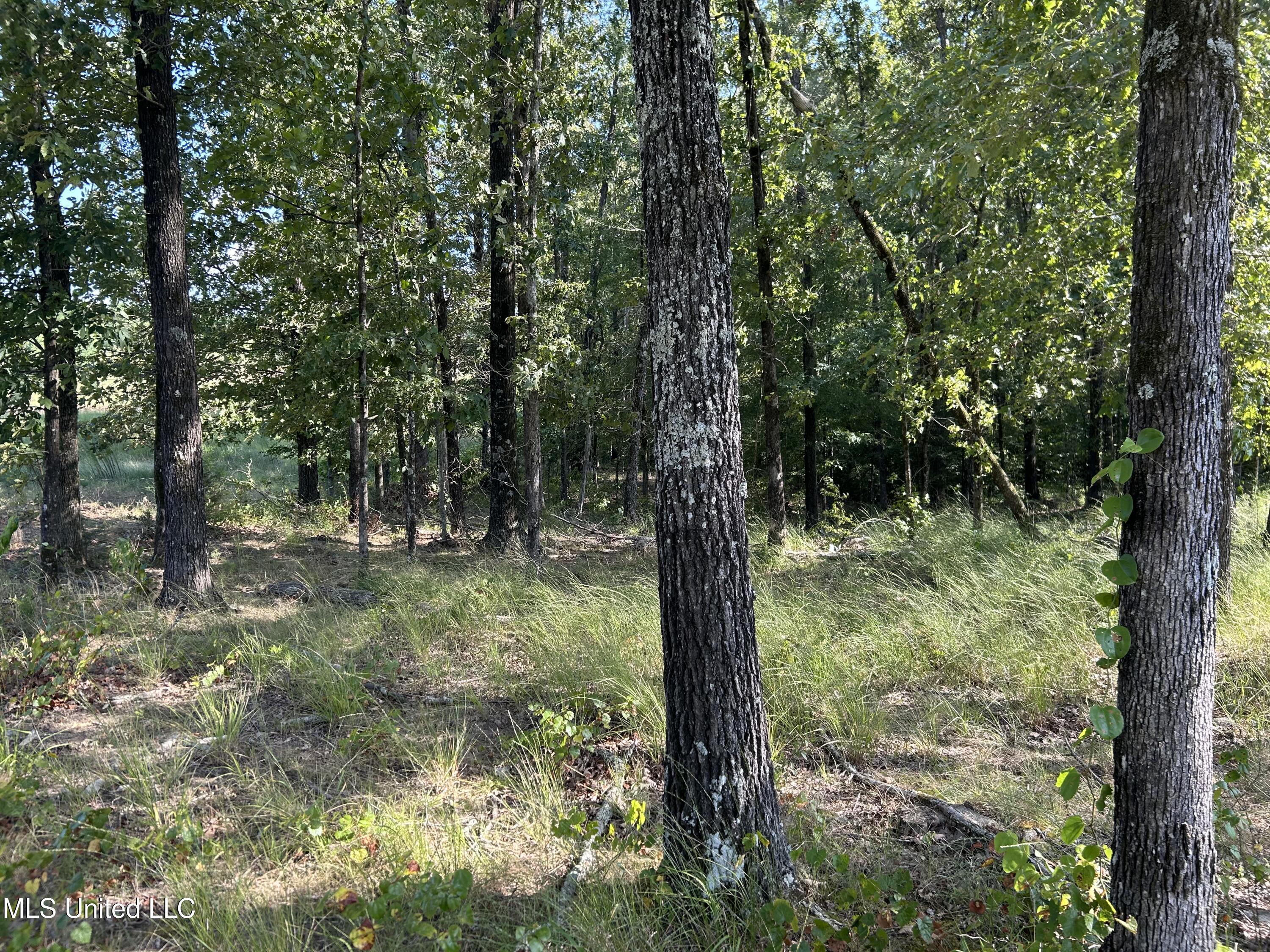 233 County Road Water Valley, MS 38965 - Photo 52 of 77 Photo Jul 28 2025, 4 58 04 PM