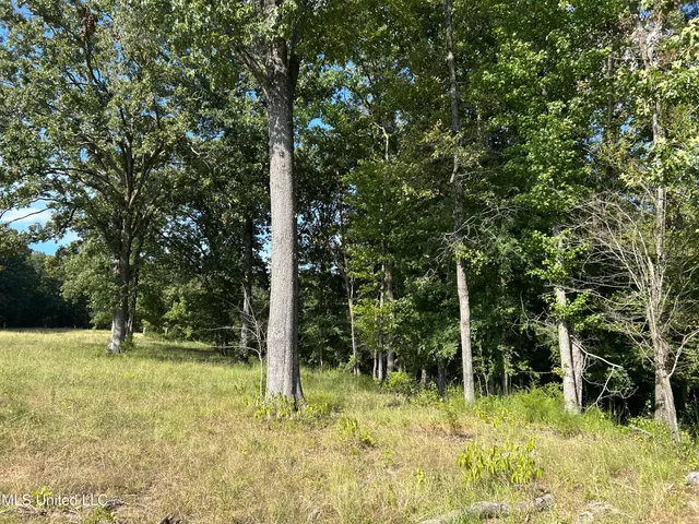 $552,500 | 233 County Road, Water Valley, MS 38965