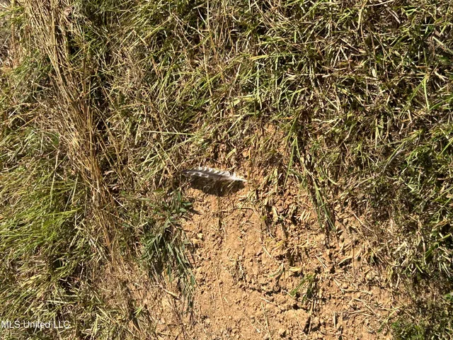 $552,500 | 233 County Road, Water Valley, MS 38965