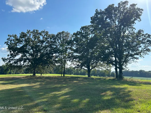 $552,500 | 233 County Road, Water Valley, MS 38965