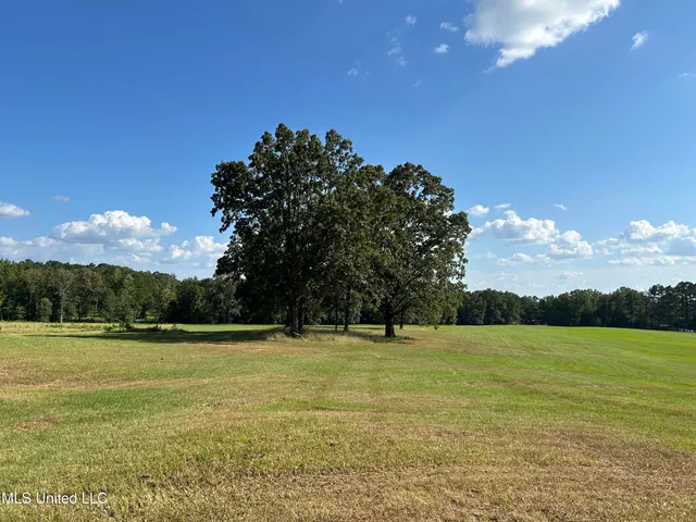 $552,500 | 233 County Road, Water Valley, MS 38965