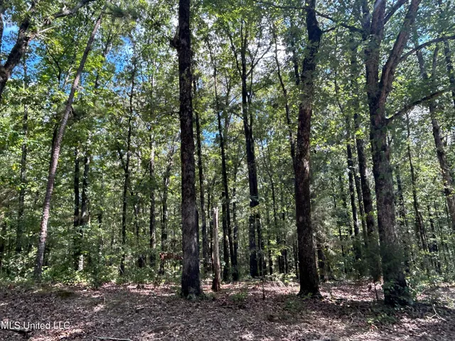 $552,500 | 233 County Road, Water Valley, MS 38965