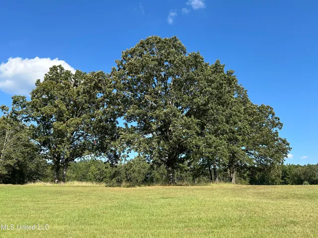 $552,500 | 233 County Road, Water Valley, MS 38965