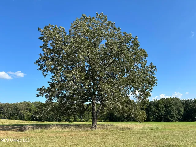 $552,500 | 233 County Road, Water Valley, MS 38965