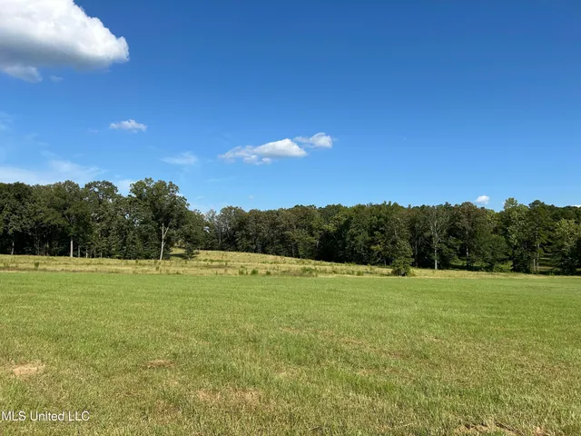 $552,500 | 233 County Road, Water Valley, MS 38965