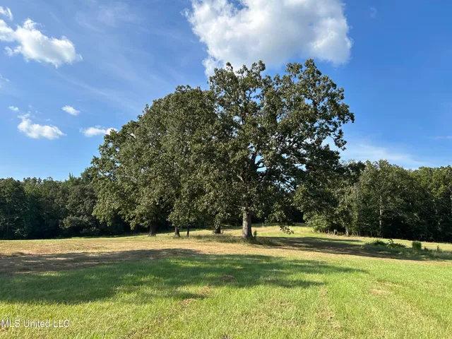 $552,500 | 233 County Road, Water Valley, MS 38965